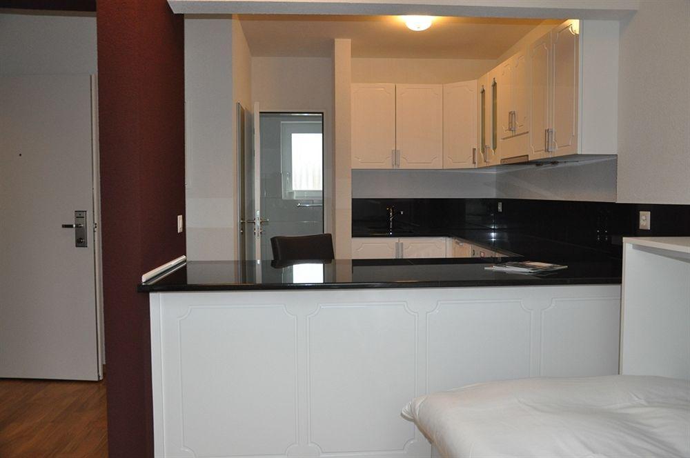 Residence Apartments By Hotel Du Commerce Базел Екстериор снимка